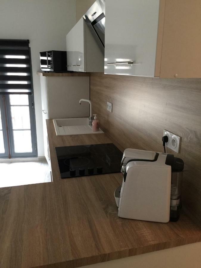 Appartement L'Islois LʼIsle-sur-la-Sorgue Екстериор снимка